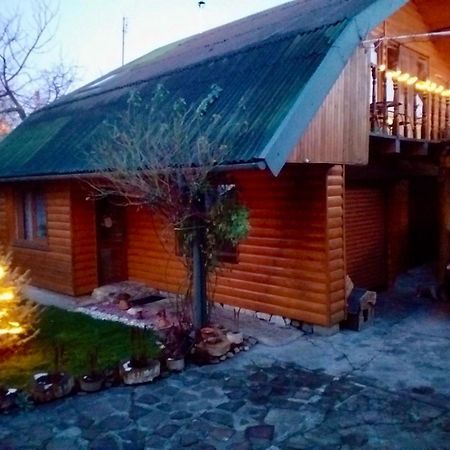 Appartement Friendly House à Kolomyia Extérieur photo